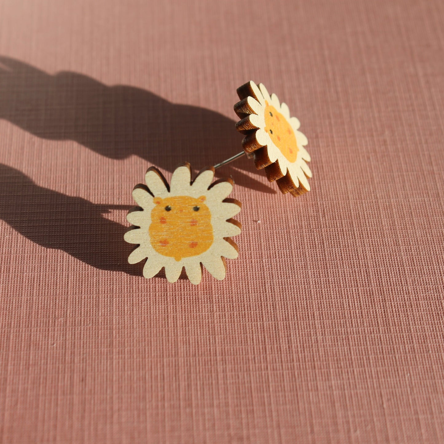 Päivänkakkara nappikoru